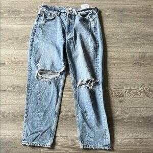 Zara Distressed Blue Jeans